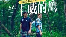 雪公园森林逃生