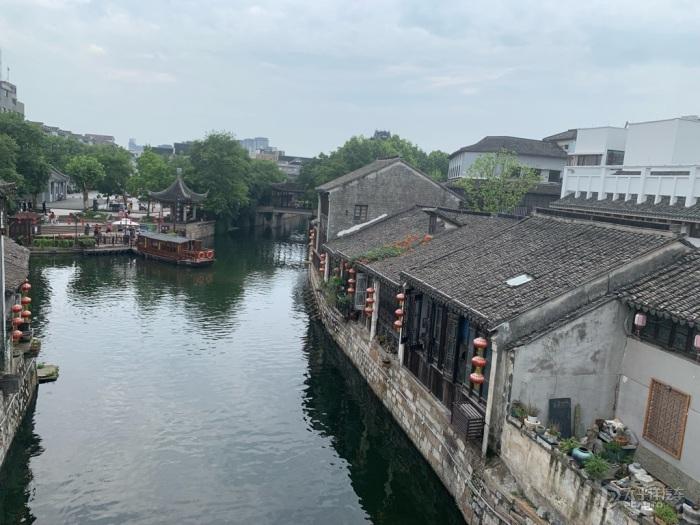 逃离泰莱森林
